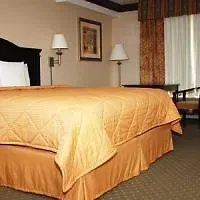 Comfort Inn & Suites Near Universal - N Hollywood - Burbank Los Angeles Hotel